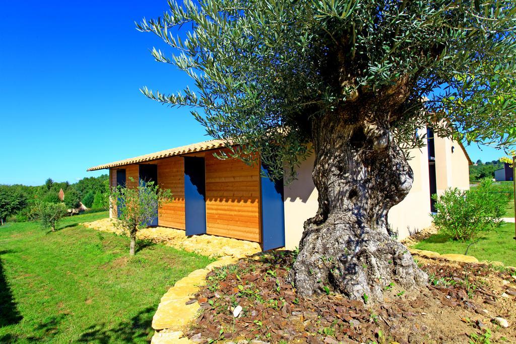 The Originals City, Hotel Albizia, Sarlat-La-Caneda Luaran gambar